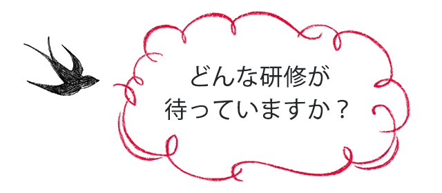 どんな研修が待っていますか?