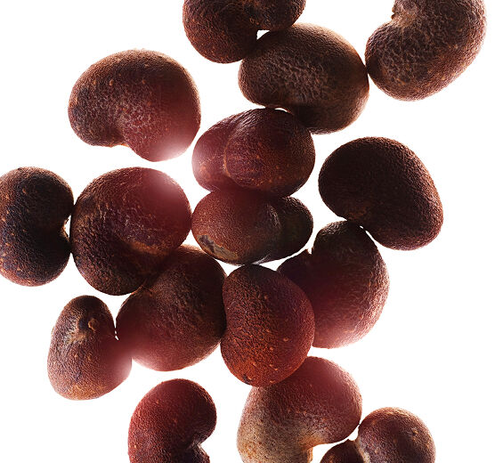 バオバブ-オーガニック バオバブオイル-Adansonia digitata seed oil