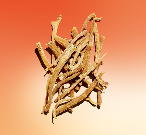 オタネニンジン（高麗ニンジン）-オタネニンジンエキス-Panax ginseng root extract