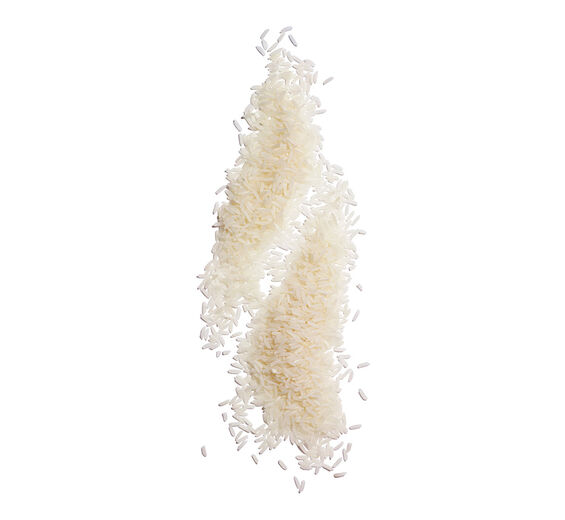 イネ（コメ）-ライスパウダー-Oryza sativa (rice) starch