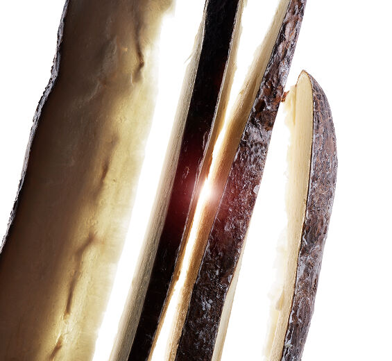 タピオカ-キャッサバ根エキス-Tapioca starch