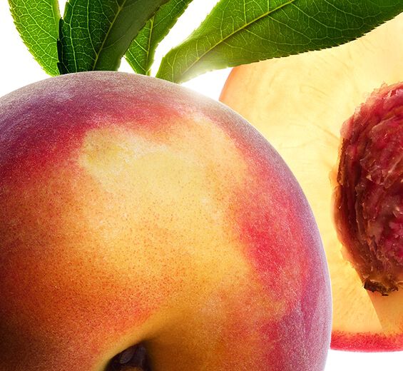 モモ（ピーチ）-ピーチツリーミルク-Prunus persica (peach) leaf extract