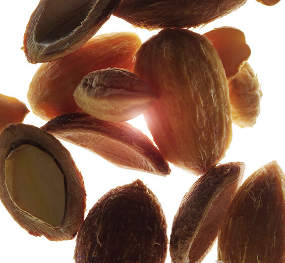 デザートデーツ-オーガニック デザートデーツ エキス-Balanites roxburghii seed oil