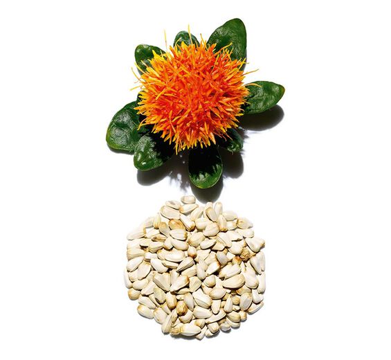 ベニバナ（サフラワー）-サフラワーエキス-Carthamus tinctorius (safflower) seedcake extract