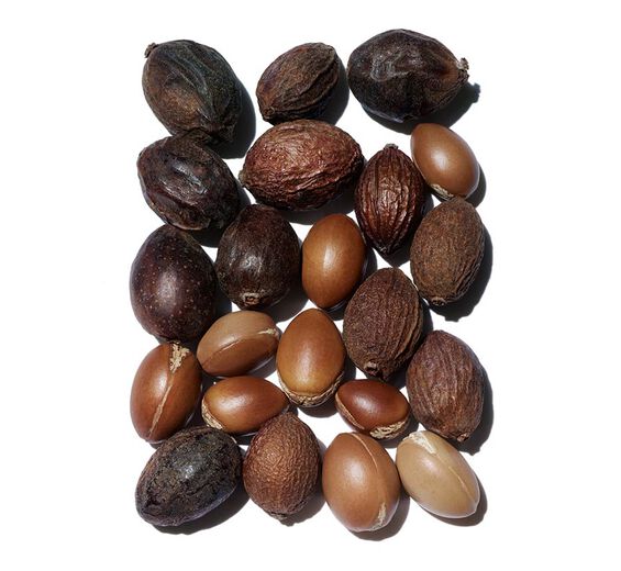 アルガン-オーガニック アルガンオイル-Argania spinosa kernel oil