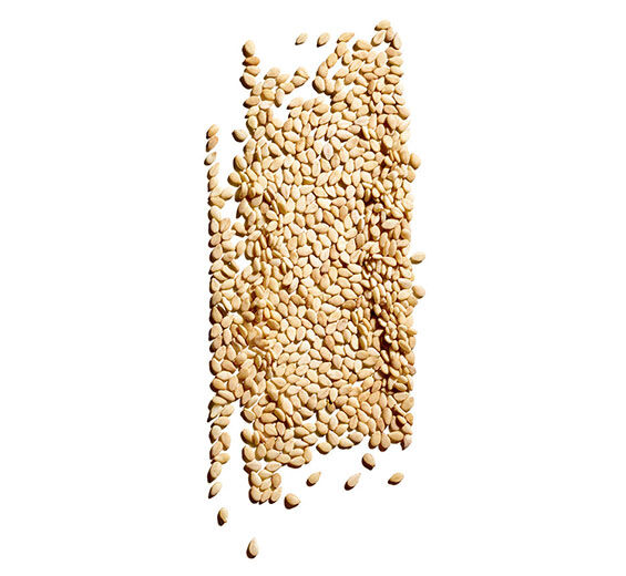 ゴマ（セサミ）-オーガニック セサミオイル-Sesamum indicum (sesame) seed oil