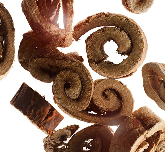 マグワ（マルベリー・ソウハクヒ・ホワイトマルベリー）-オーガニック ホワイトマルベリー-Morus alba root extract