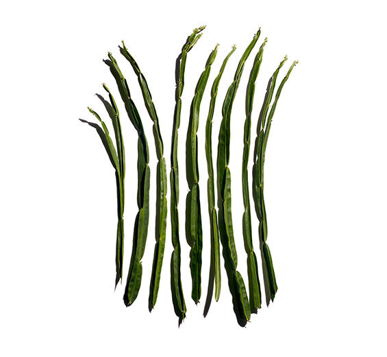バッカリス（カルケージャ）-バッカリスエキス-Baccharis genistelloides extract