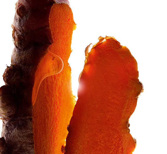 ウコン（ターメリック）-ウコンエキス-Curcuma longa (turmeric) root extract