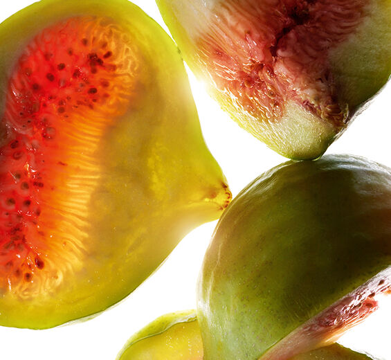 フィグ（イチジク）-フィグエキス-Ficus carica (fig) fruit extract