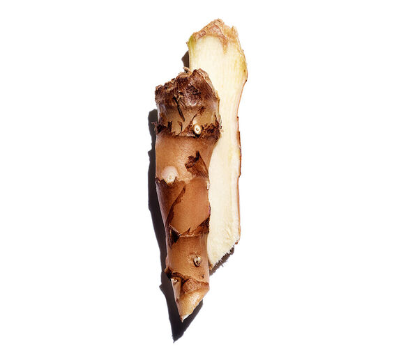 ジンジャーリリー-ジンジャーリリーエキス（オーガニック植物）-Hedychium coronarium root extract