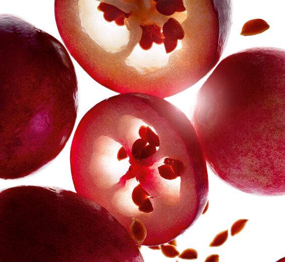 クランベリー-オーガニック クランベリーオイル-Vaccinium macrocarpon (cranberry) seed oil