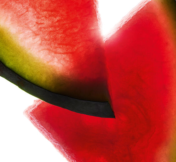 スイカ（カラハリスイカ）-スイカ果実エキス-Citrullus lanatus (watermelon) fruit extract