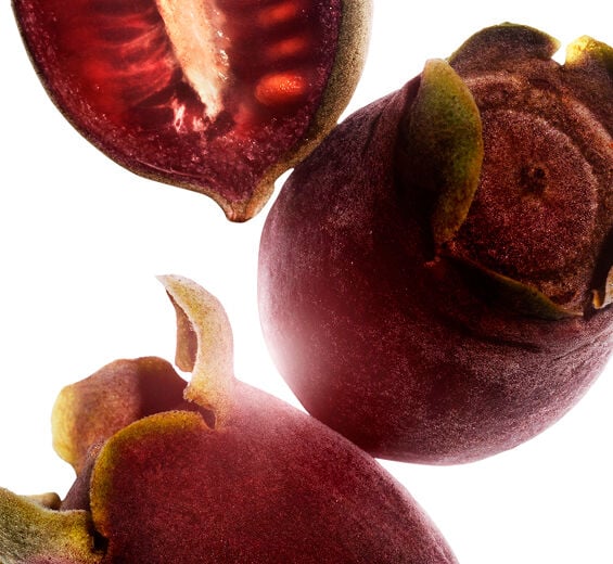 テンニンカ（天人花）-テンニンカエキス-Rhodomyrtus tomentosa fruit extract