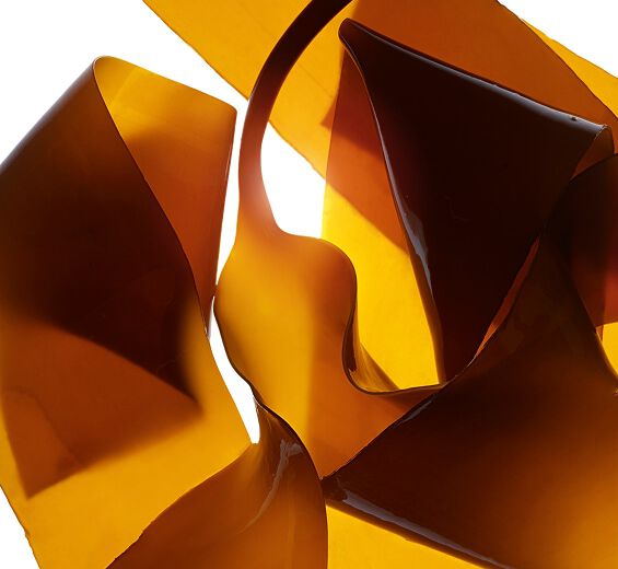 ラミナリアディギタータ（コンブ）-ラミナリアエキス-Laminaria digitata extract