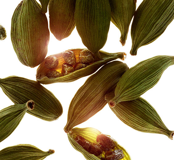 カルダモン（ショウズク）-カルダモンエッセンシャルオイル-Elettaria cardamomum seed oil