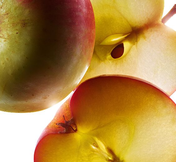 アップル ツリー-オーガニック スモールアップルエキス-Malus Domestica Fruit Extract