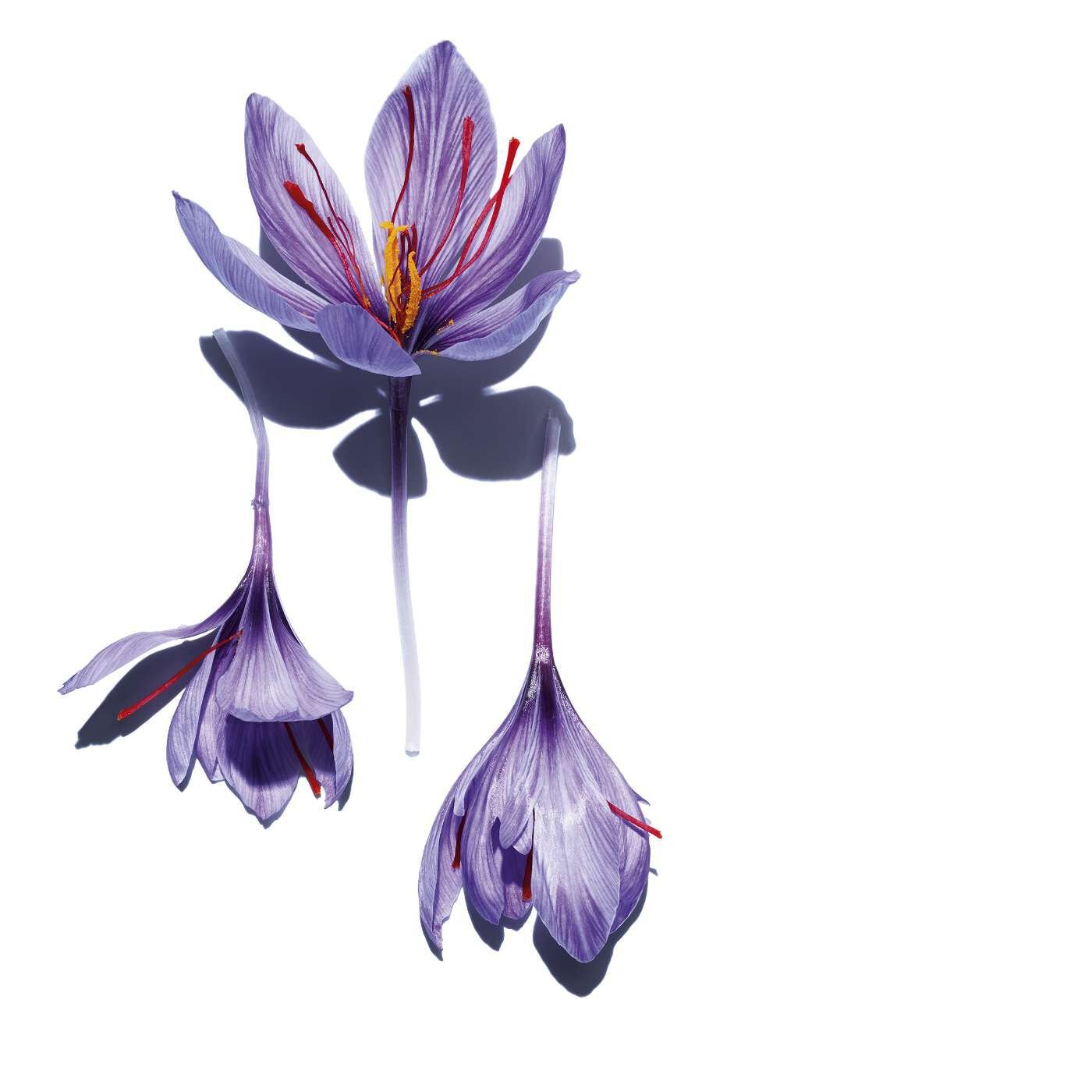 イドラ エッセンシャル バイフェーズ セラム | CLARINS® 公式