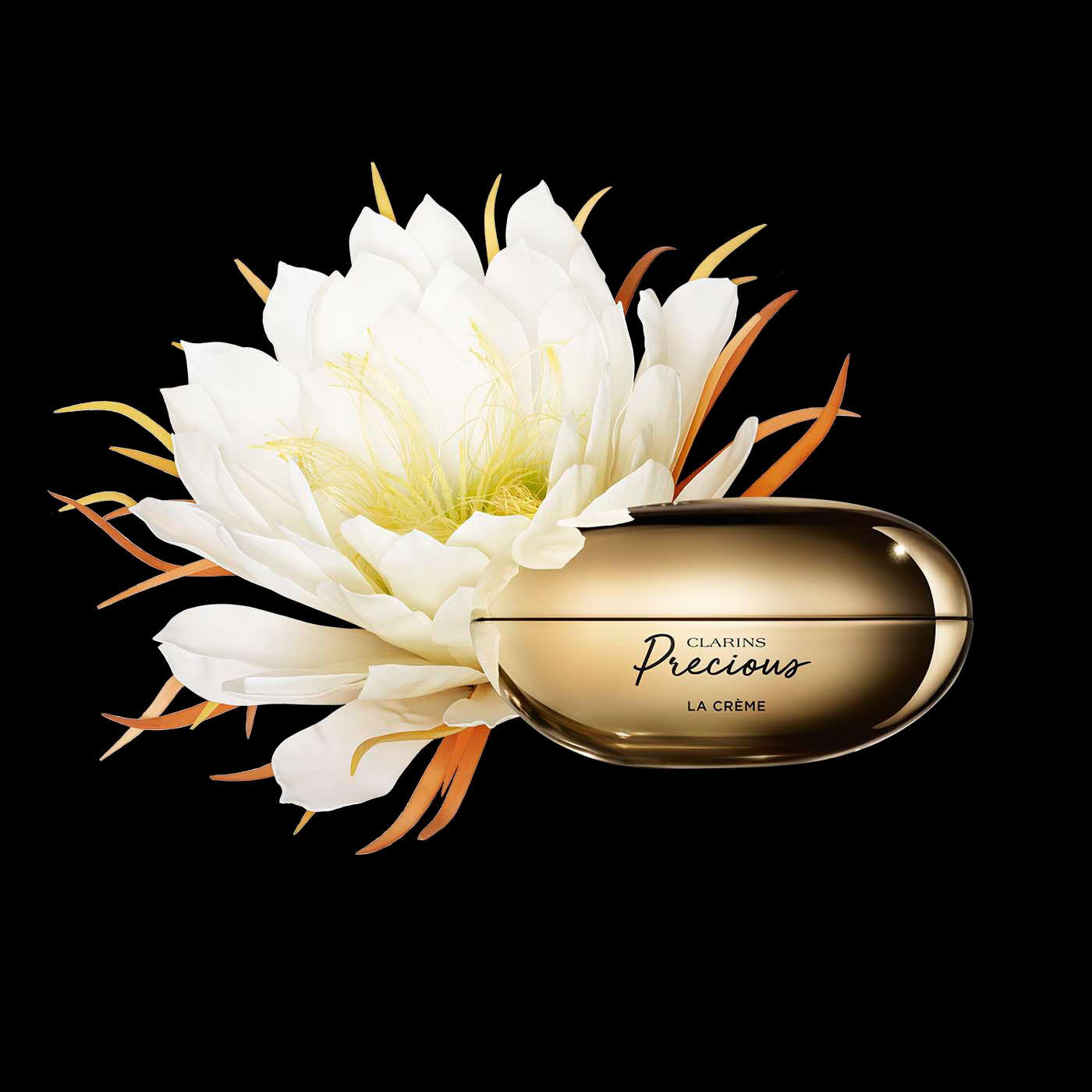 クラランスプレシャス プロテクトゥール UV | CLARINS® 公式通販 | CLARINS®