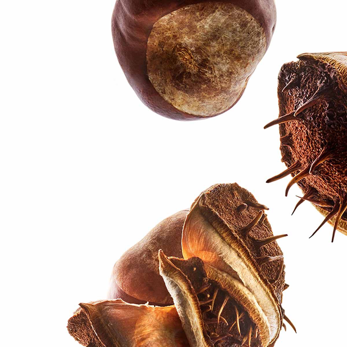 Nルミエール デイ クリーム | CLARINS® 公式通販 | CLARINS®