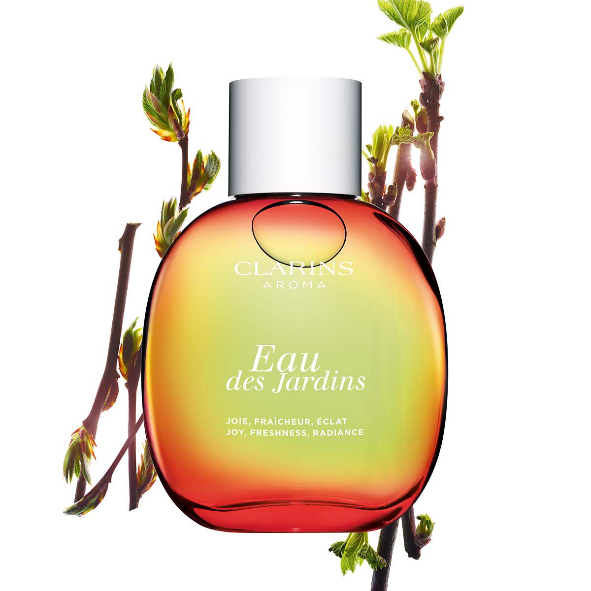 クラランス　トリートメントフレグランス　2本セット 各100ml オー エクストラオーディナリー トリートメントフレグランス 100mL