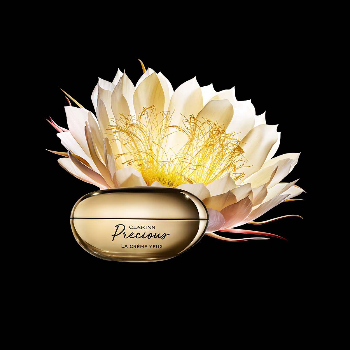クラランスプレシャス ラクレームリッシュ クラランスプレシャス ラ クレーム リッシュ | CLARINS®