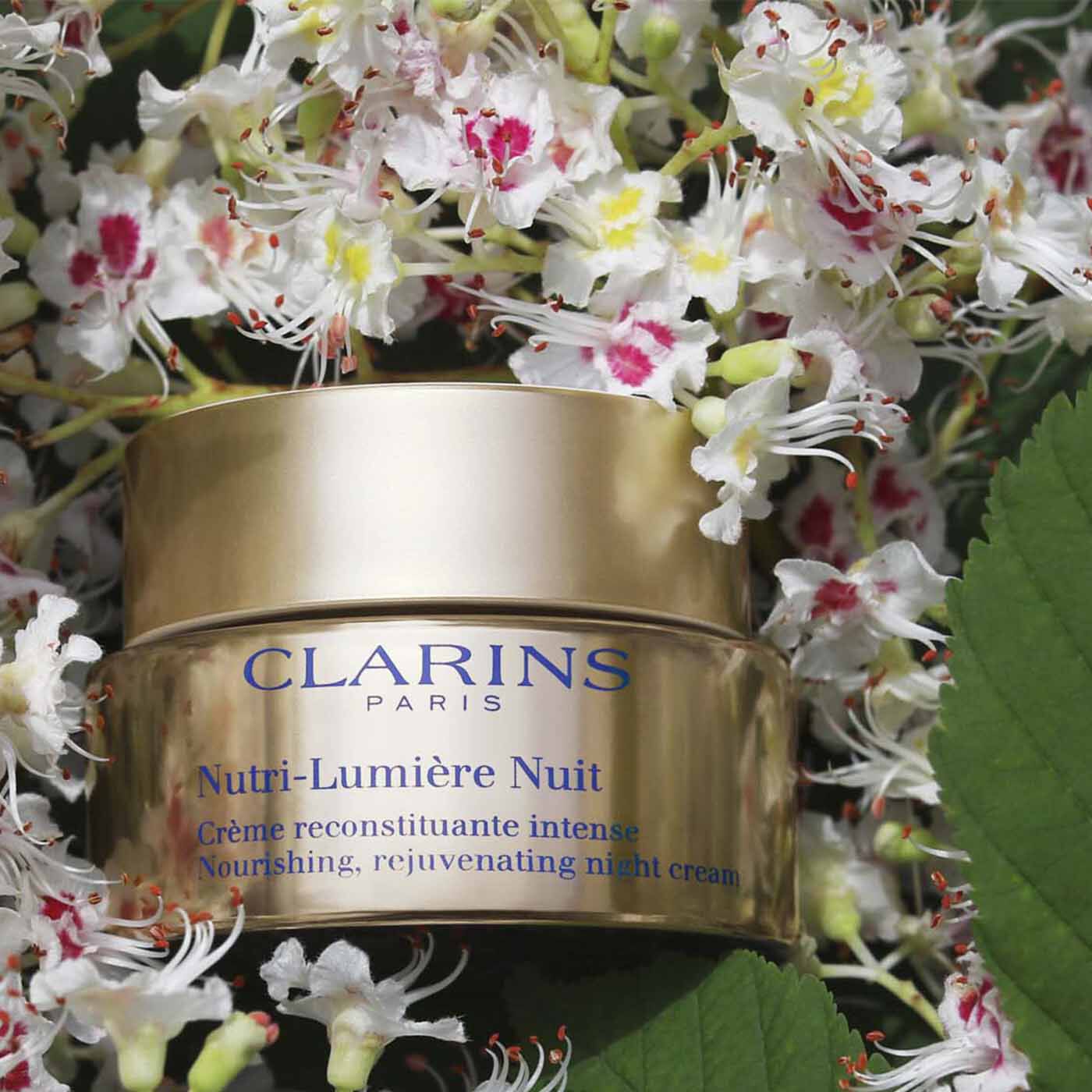 Ｎルミエール ナイト クリーム | CLARINS® 公式通販 | CLARINS®