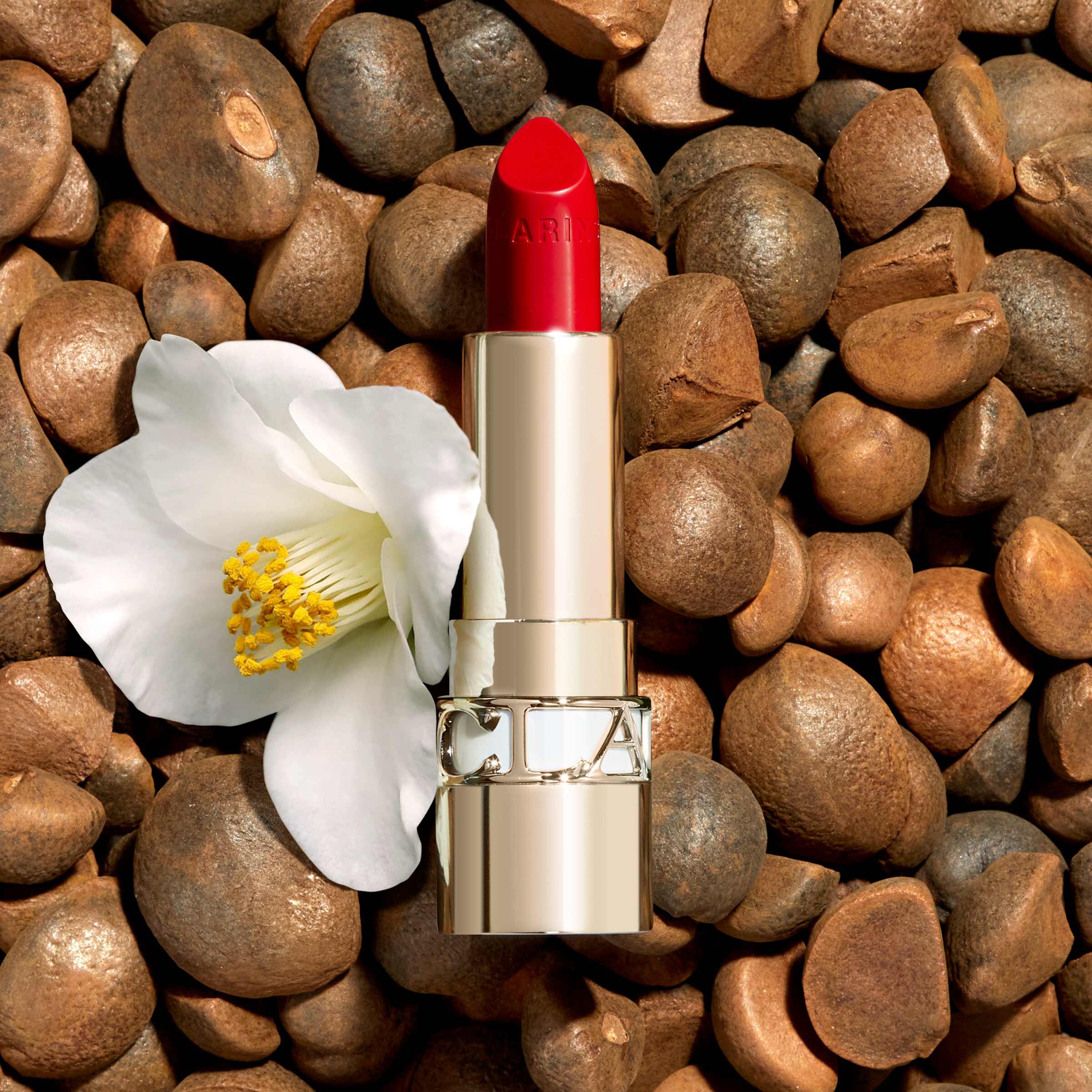 ジョリルージュN サテン 742 | CLARINS® 公式通販 | CLARINS®