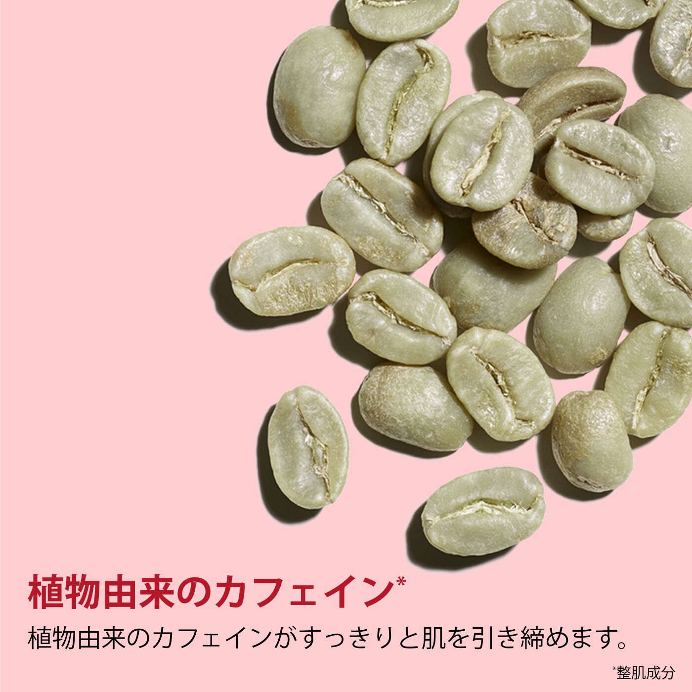 マスヴェルト アドバンスト | CLARINS® 公式通販 | CLARINS®