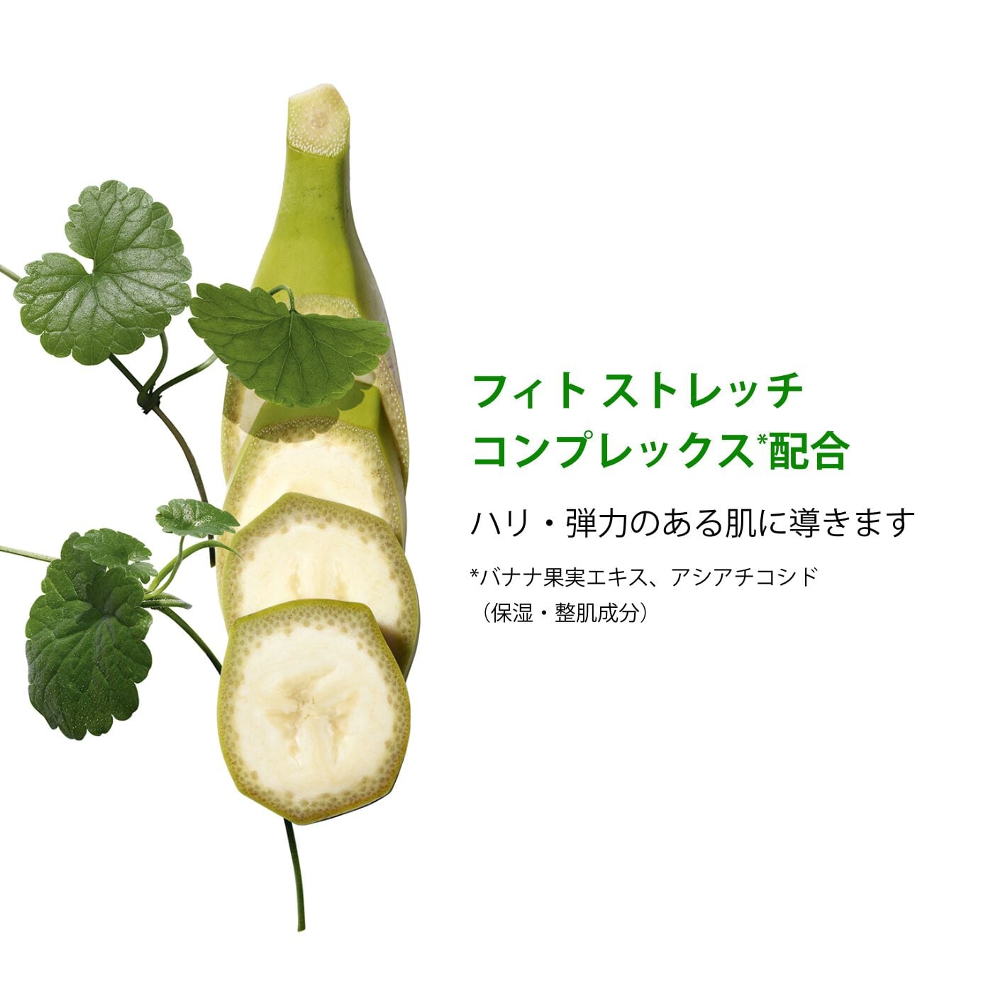 ボディ パートナー | CLARINS®