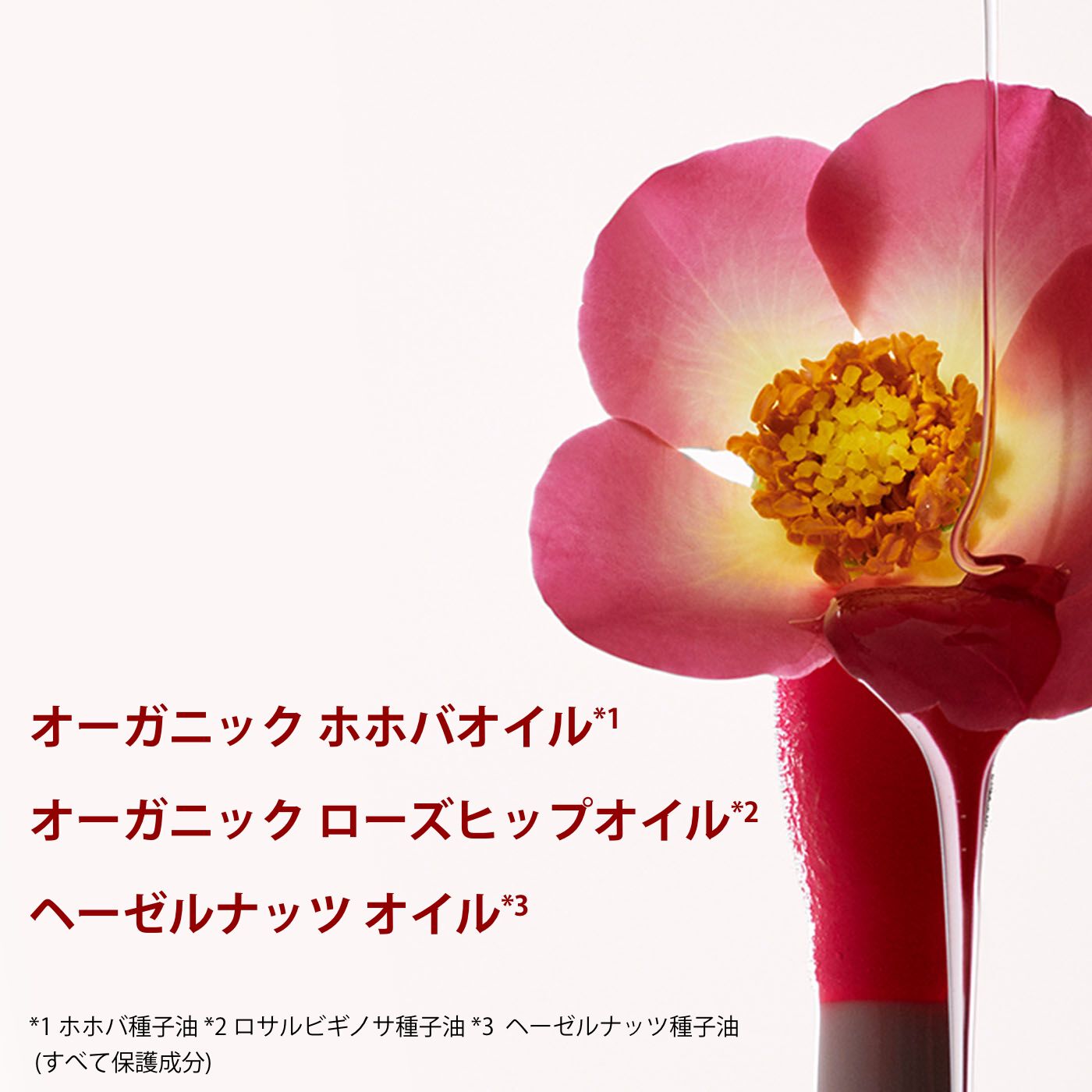 POP MART 限定コラボ】リップコンフォートオイルセット<ハニー