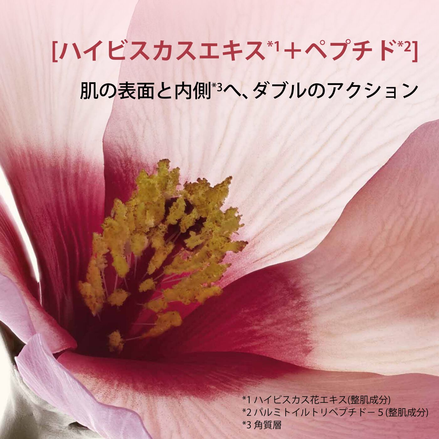 リニュープラス ボディ セラム | CLARINS® 公式通販 | CLARINS®