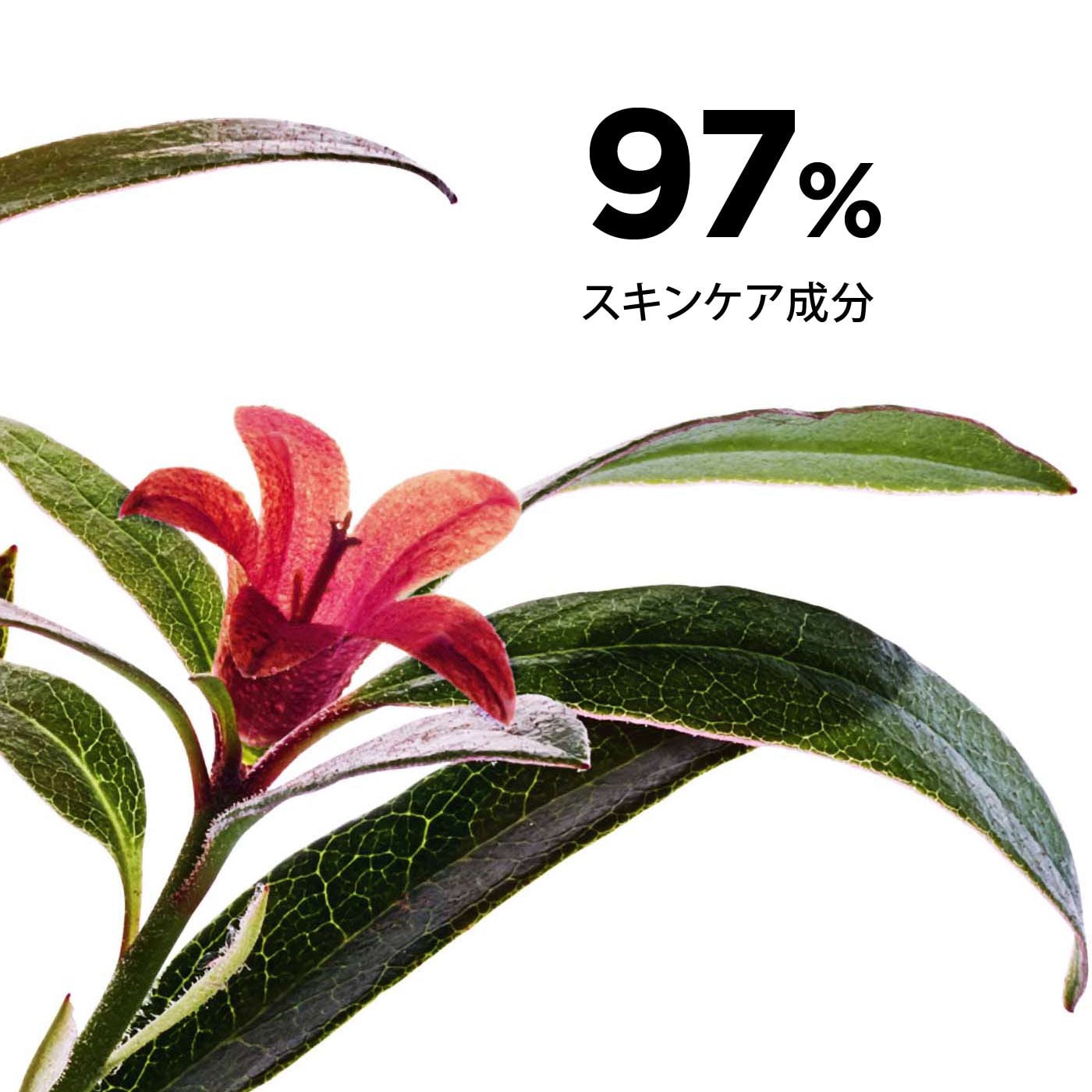 フィックス メイクアップ N LOVE edition | CLARINS® 公式通販 | CLARINS®