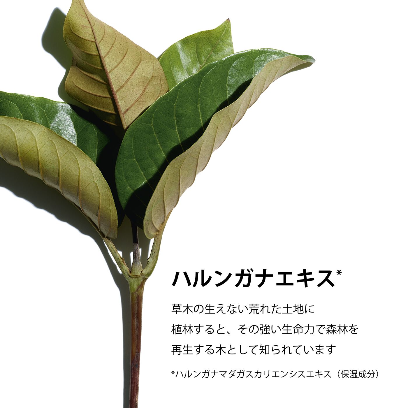 スープラ ネック＆デコルテ | CLARINS® 公式通販 | CLARINS®