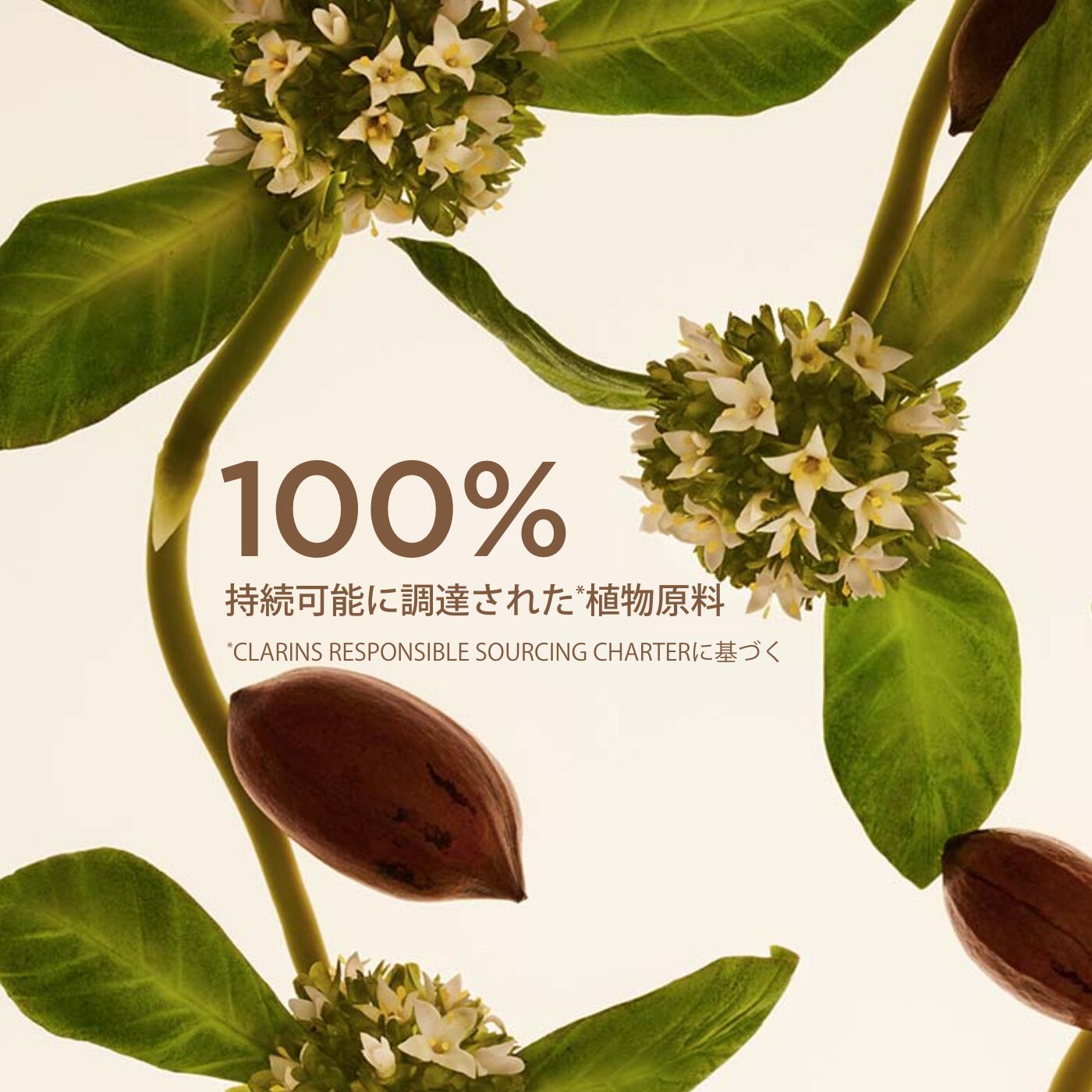 ファーミング EX クリーム ドライスキン | CLARINS® 公式通販 | CLARINS®