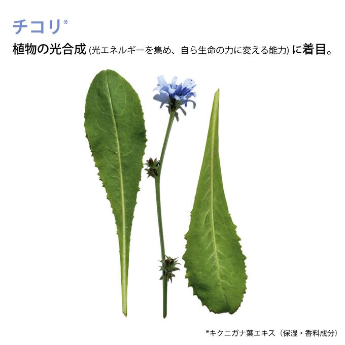 エヴァーラスティング ユース フルイド 110