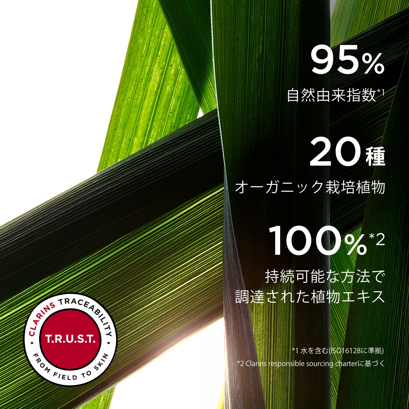 クラランス ダブル セーラム EX 50ml x 3 (美容液) 新品 CLARINS