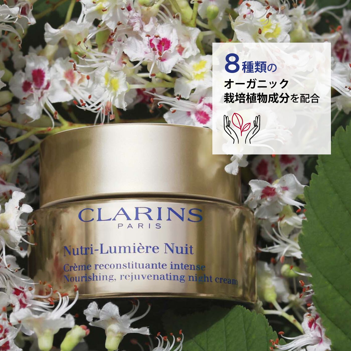 Nルミエール ナイト クリーム | CLARINS® 公式通販 | CLARINS®
