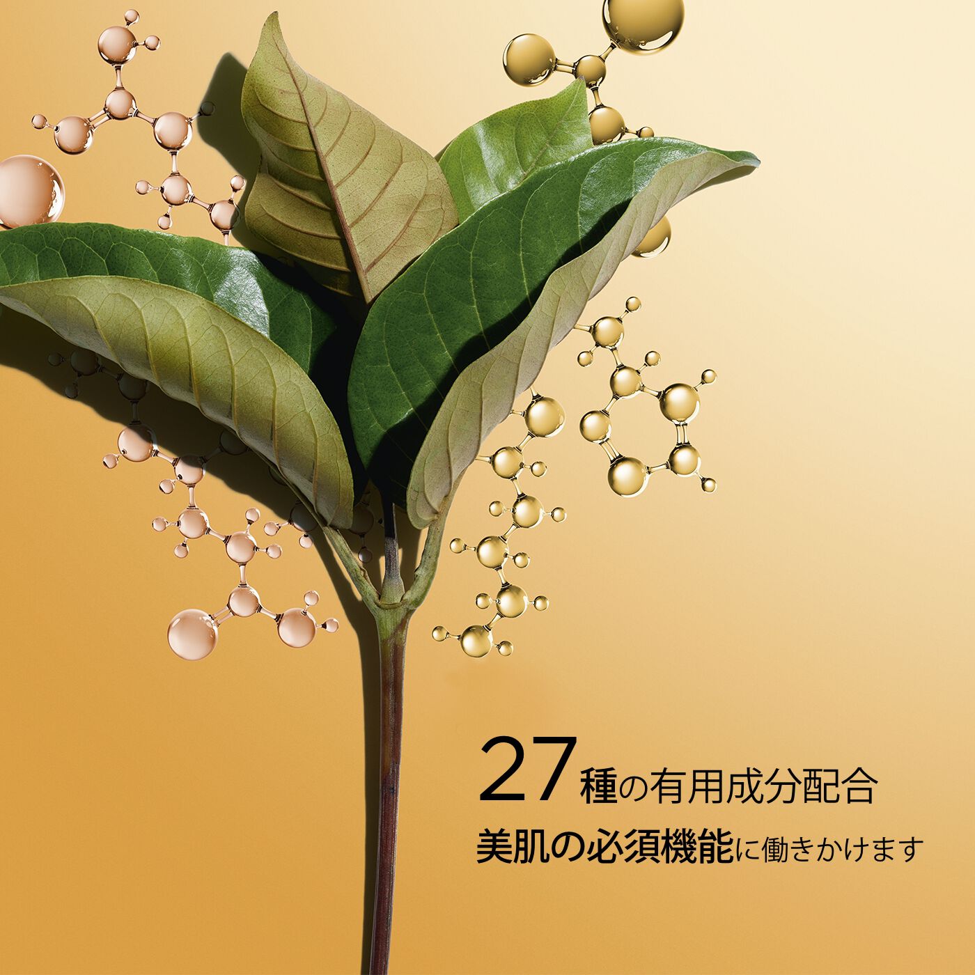 ダブル セーラム ADC 50mL | CLARINS® 公式通販 | CLARINS®