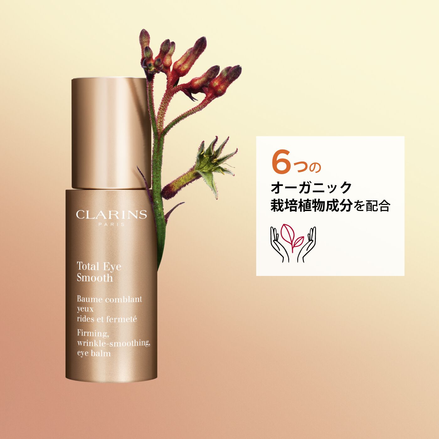 【新作入荷!!】  トータル アイ スムース | CLARINS® アイケア