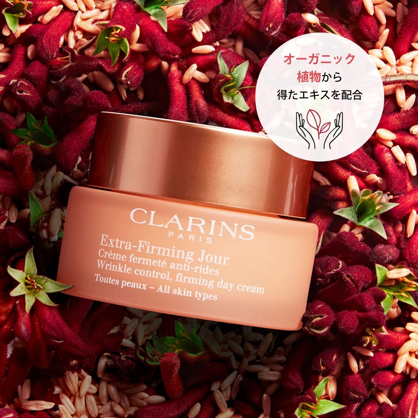 EVERYSKIN デイミルク50ml EVERY SKIN スキンジェル 150g＋デイミルク50ml