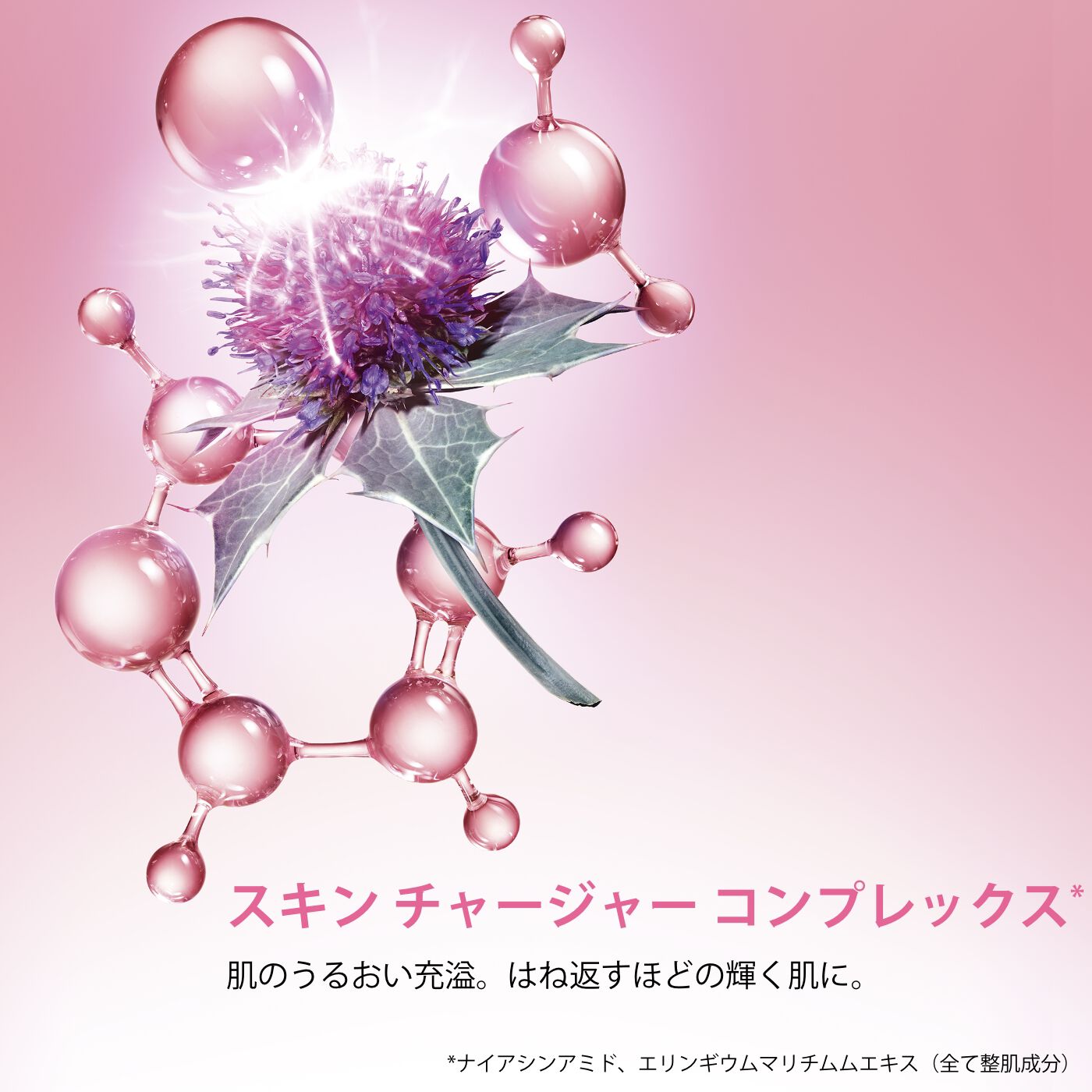 Ｍアクティヴ ナイト クリーム N | CLARINS® 公式通販 | CLARINS®