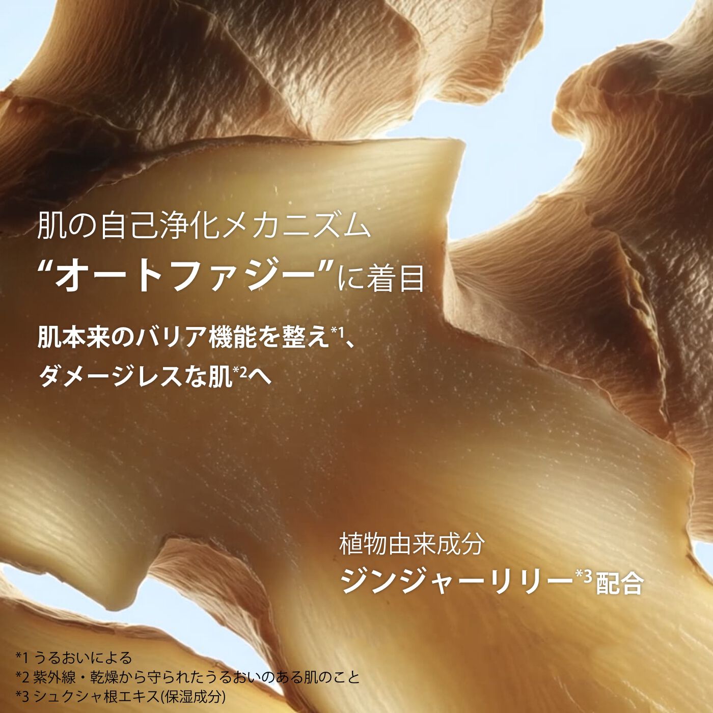 UV-プラス スキンバリア トランスルーセント | CLARINS® 公式通販