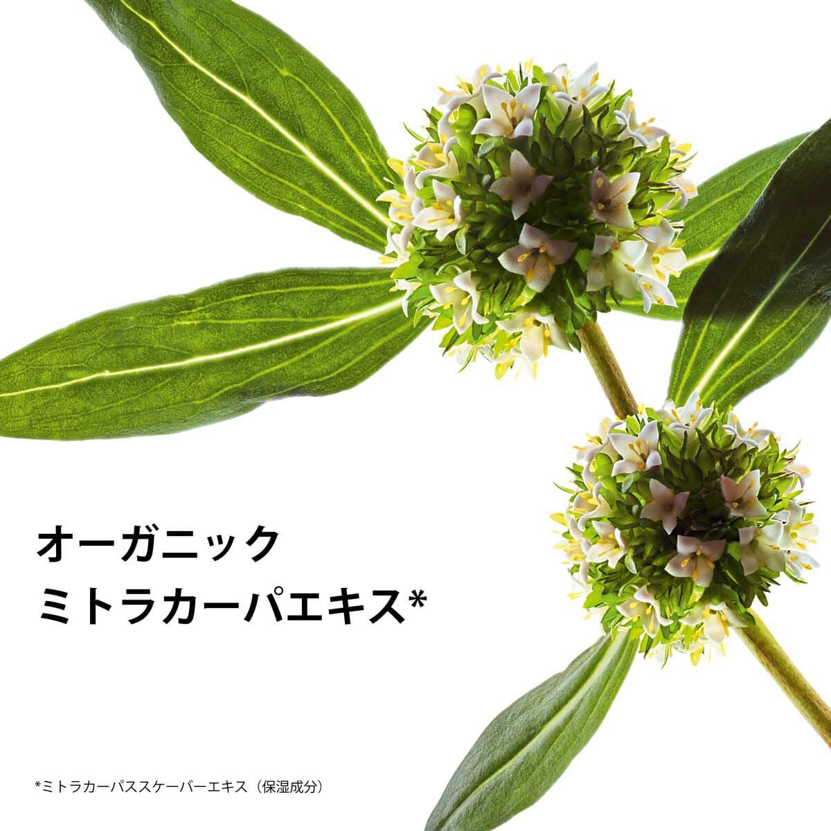 トータル アイ スムース | CLARINS®