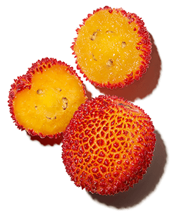 ストロベリーツリーの果実