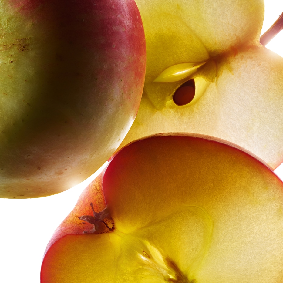 アップル ツリー-オーガニック スモールアップルエキス-Malus Domestica Fruit Extract