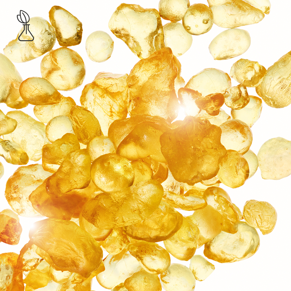 マスティック-マスティックエキス-Pistacia lentiscus (mastic) gum