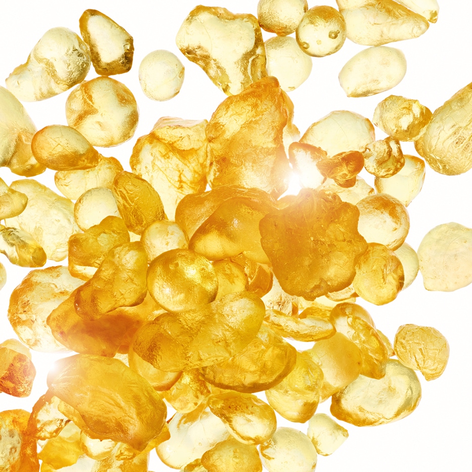 マスティック-マスティックエキス-Pistacia lentiscus (mastic) gum