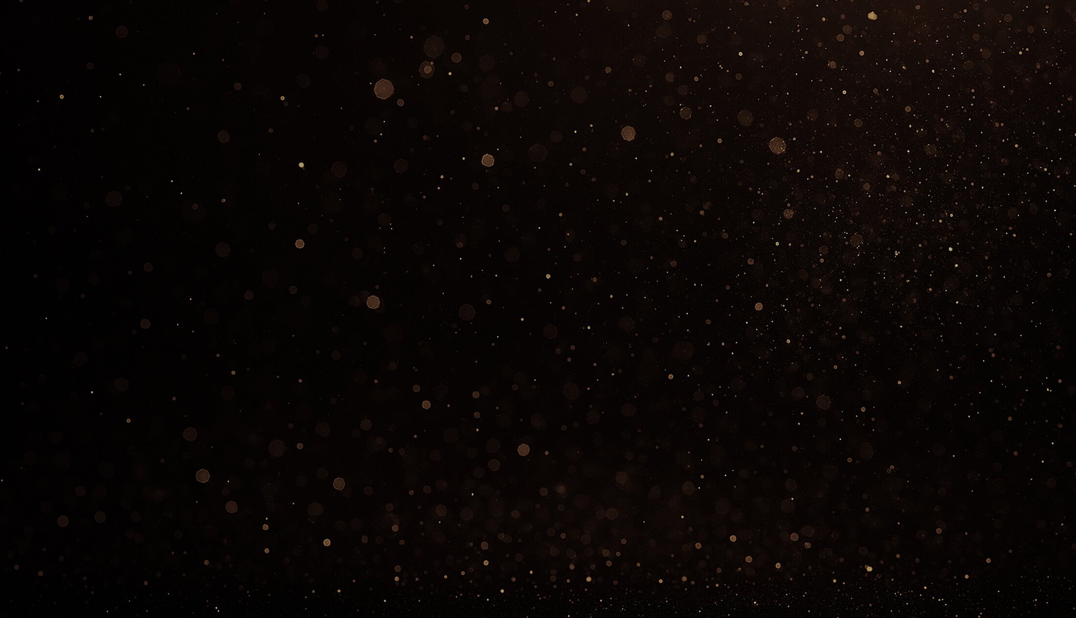 ブラックフライデーBG