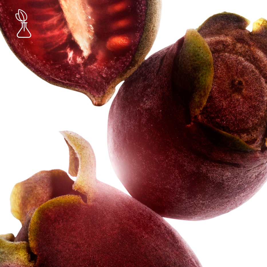 テンニンカ（天人花）-テンニンカエキス-Rhodomyrtus tomentosa fruit extract